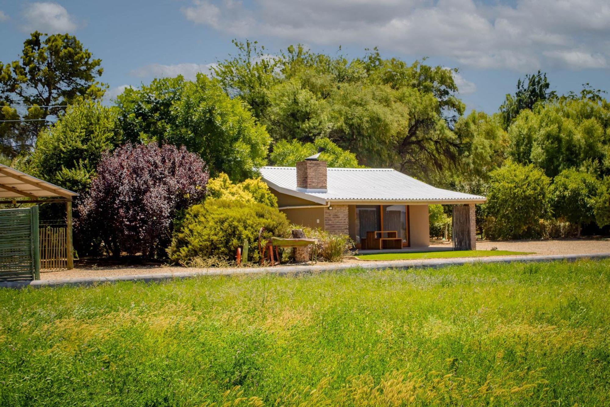Tarantula Guest House Calvinia Екстериор снимка