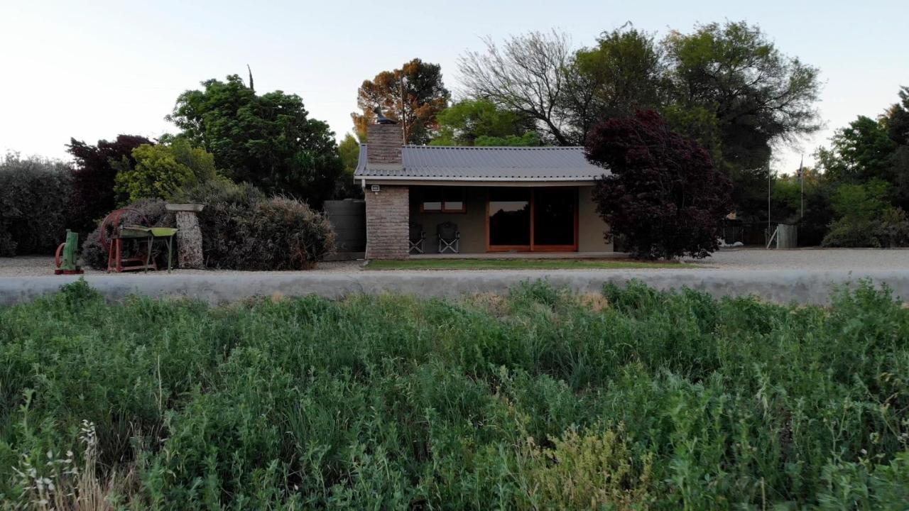 Tarantula Guest House Calvinia Екстериор снимка