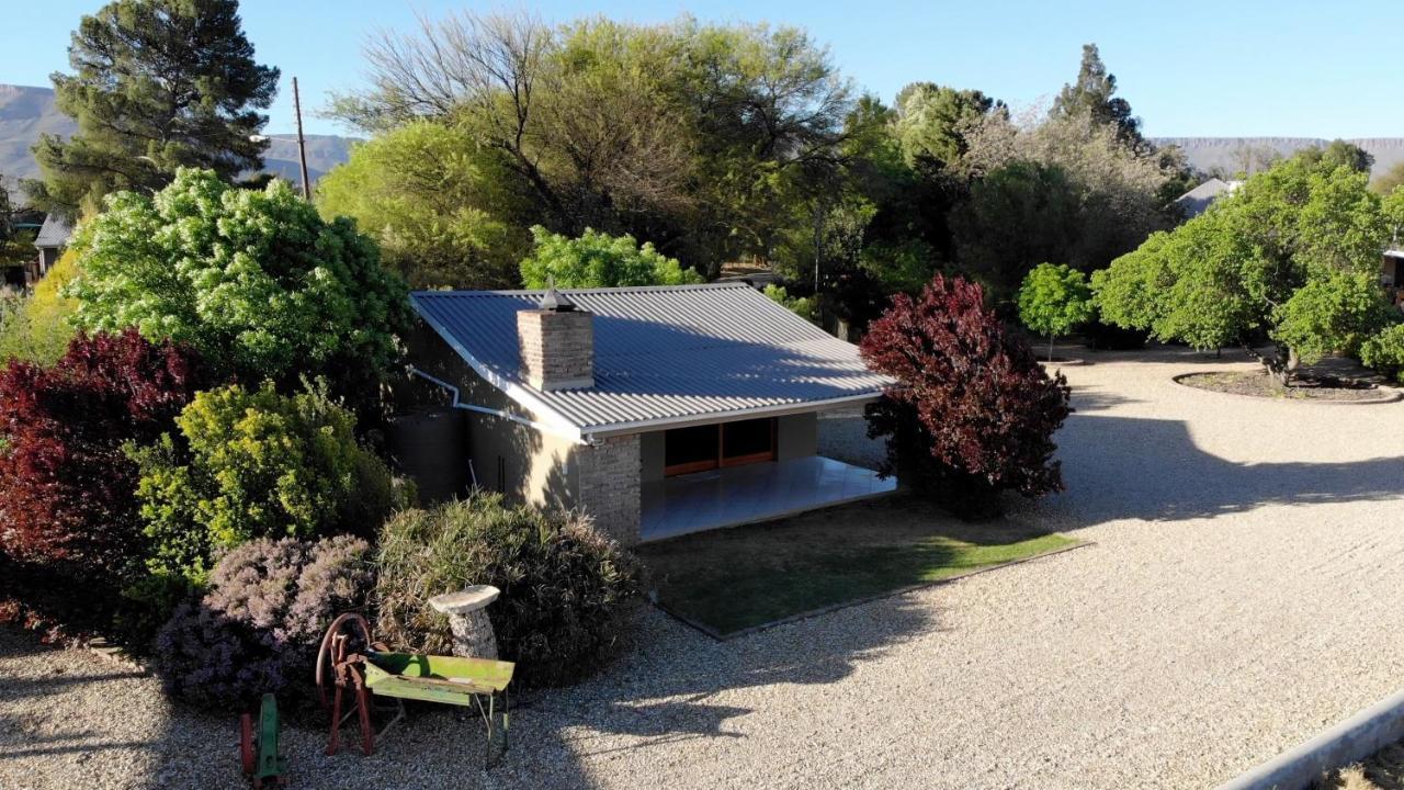 Tarantula Guest House Calvinia Екстериор снимка
